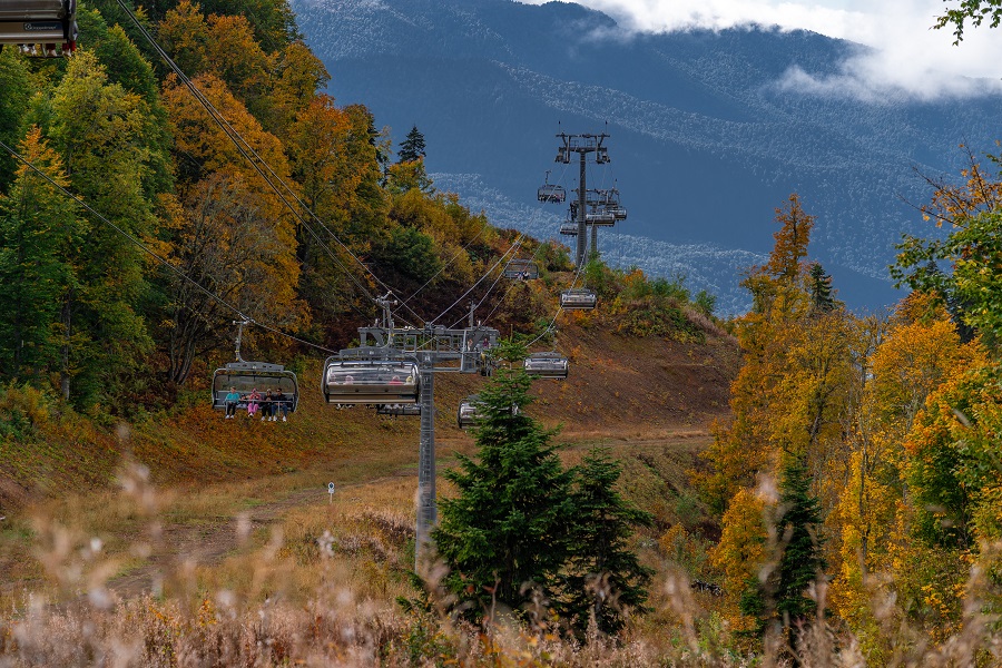 vanderdrone rosa october 040