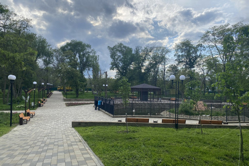 Slusar and new trees