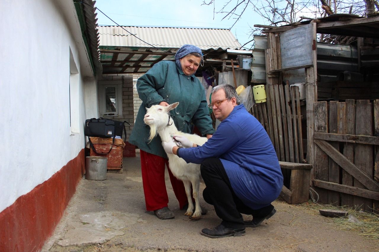 veterinar