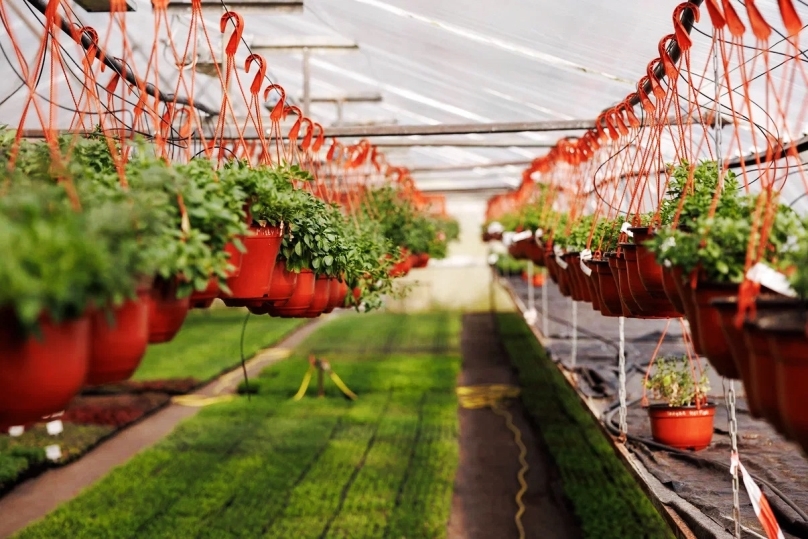 Талан автор Евгений Чистяков